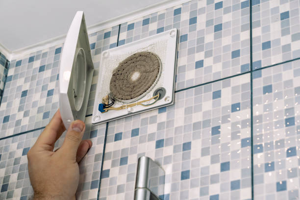 Best Air Duct Mold Removal  in Edison, GA