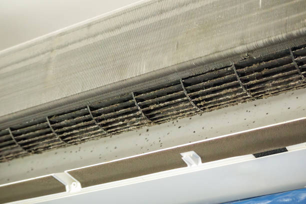 Best Ductwork Cleaning Services  in Edison, GA